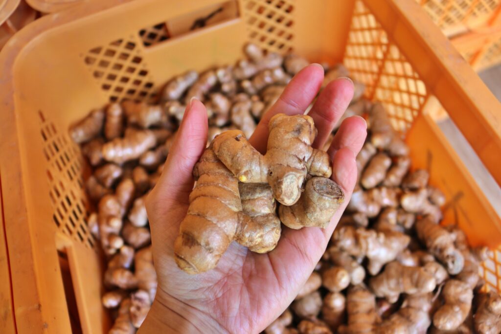 Turmeric grown without agricultural chemicals